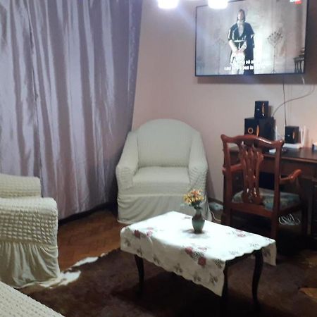 Cozy, Central 1-Bedroom Apartment In Timisoara, Romania Ngoại thất bức ảnh