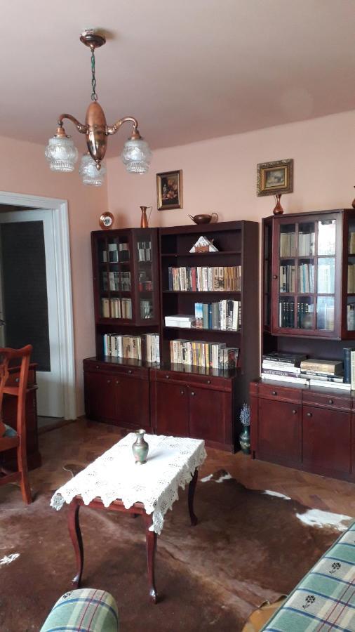 Cozy, Central 1-Bedroom Apartment In Timisoara, Romania Ngoại thất bức ảnh