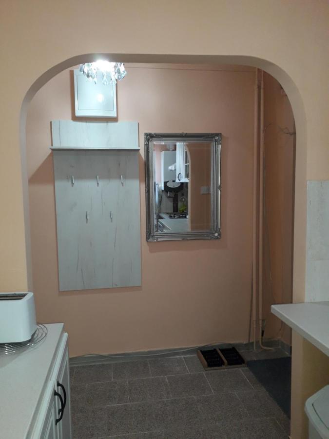Cozy, Central 1-Bedroom Apartment In Timisoara, Romania Ngoại thất bức ảnh