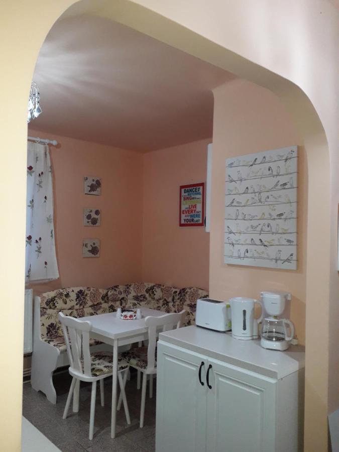 Cozy, Central 1-Bedroom Apartment In Timisoara, Romania Ngoại thất bức ảnh