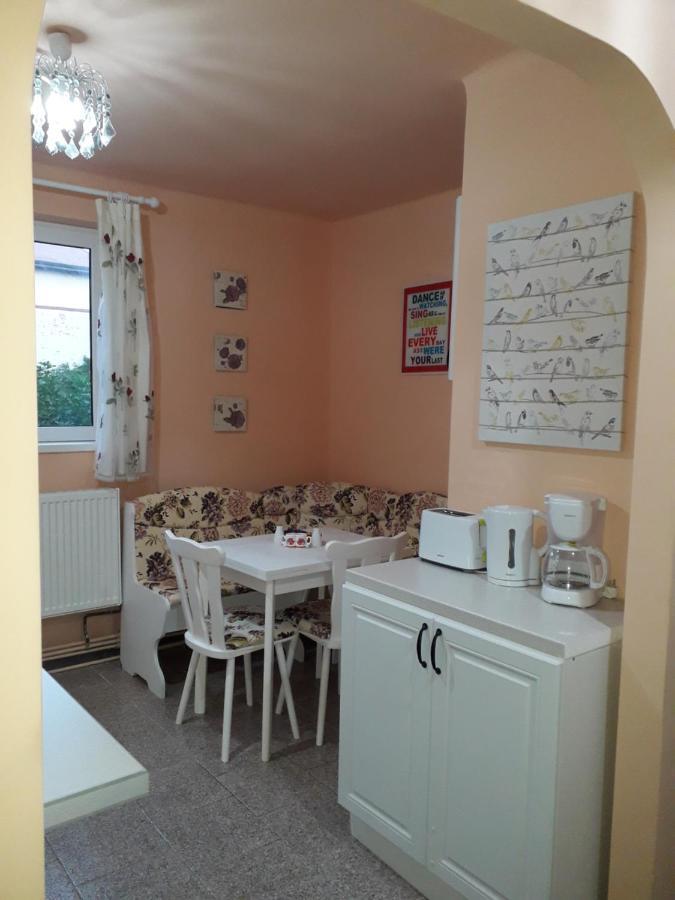 Cozy, Central 1-Bedroom Apartment In Timisoara, Romania Ngoại thất bức ảnh