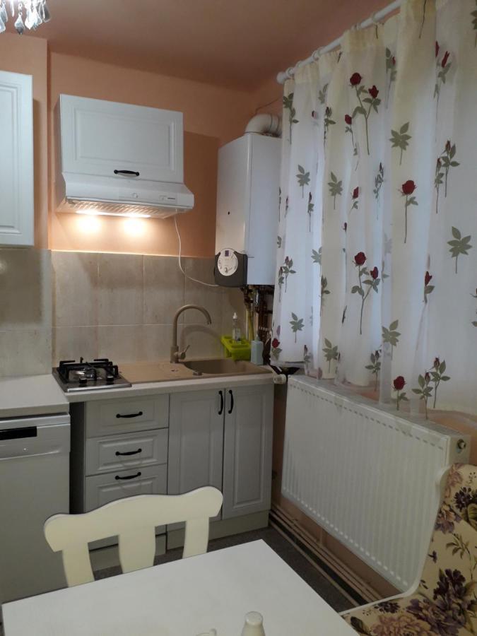 Cozy, Central 1-Bedroom Apartment In Timisoara, Romania Ngoại thất bức ảnh