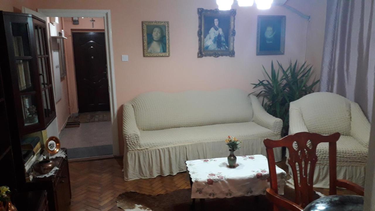 Cozy, Central 1-Bedroom Apartment In Timisoara, Romania Ngoại thất bức ảnh